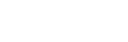 NESS GLOBAL CONSULTING